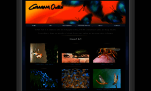 Grahamowengallery.com thumbnail