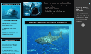 Grand-requin-blanc.yatou.net thumbnail