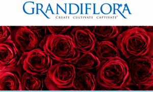 Grandiflora.com.au thumbnail