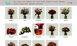 Grandiflora.nl thumbnail