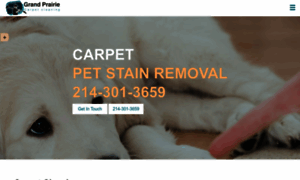 Grandprairiecarpetcleaningtx.com thumbnail