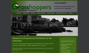 Grasshoppers.co.uk thumbnail