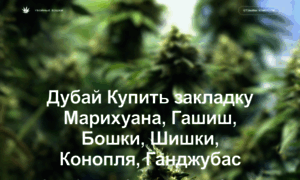 Grata-kazan.ru thumbnail