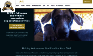 Great-lakes-weimaraner-rescue.com thumbnail