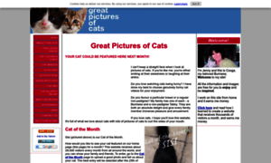 Great-pictures-of-cats.com thumbnail