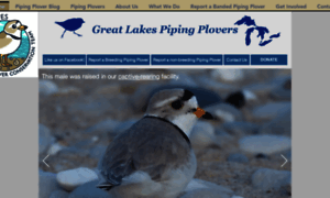 Greatlakespipingplover.org thumbnail