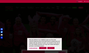 Greatpinkrun.ie thumbnail