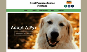 Greatpyrrescuemt.rescuegroups.org thumbnail