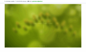 Green-clean.org.uk thumbnail
