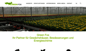 Green-fox.ch thumbnail