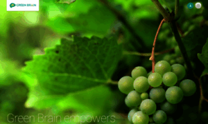 Greenbrain.ag thumbnail