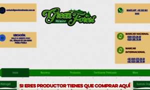 Greenforestmexico.com thumbnail