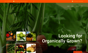 Greenindiaecoservices.com thumbnail