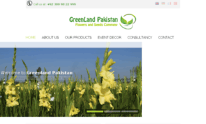 Greenlandpakistan.com thumbnail