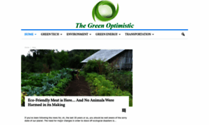 Greenoptimistic.com thumbnail