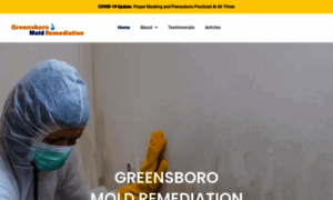 Greensboromoldremediationinc.com thumbnail