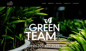 Greenteamcare.com thumbnail