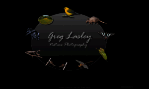 Greglasley.com thumbnail
