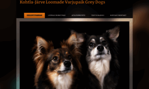 Greydogs.ee thumbnail