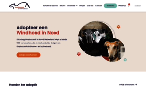 Greyhoundsinnood.nl thumbnail