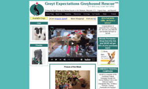 Greytexpectations.org thumbnail