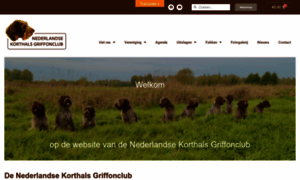 Griffonkorthals.nl thumbnail