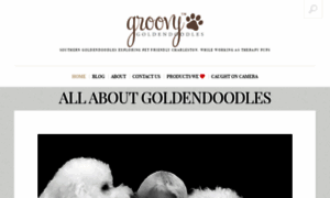 Groovygoldendoodles.com thumbnail