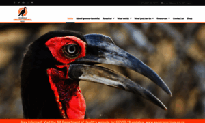 Ground-hornbill.org.za thumbnail