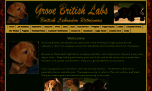 Grovebritishlabs.com thumbnail