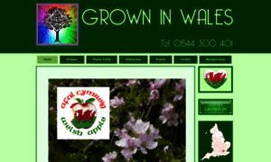 Growninwales.co.uk thumbnail