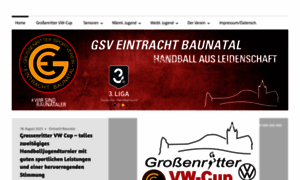 Gsv-baunatal-handball.de thumbnail