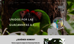 Guacamayasparasiempre.org thumbnail