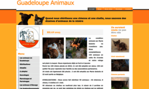 Guadeloupe-animaux.org thumbnail