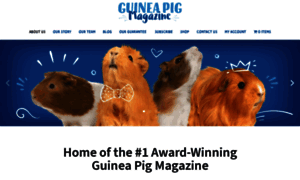 Guineapigmagazine.com thumbnail