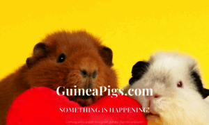 Guineapigs.com thumbnail