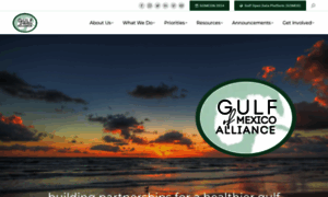 Gulfofmexicoalliance.org thumbnail