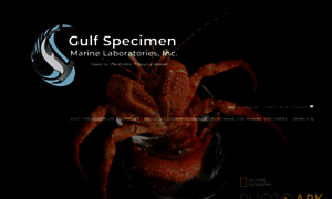 Gulfspecimen.org thumbnail
