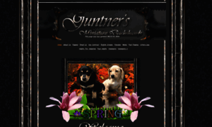 Guntnersminidachshunds.com thumbnail