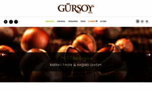 Gursoy.com.tr thumbnail