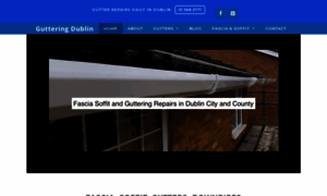 Gutter-repairs-dublin.dublincityguttering.com thumbnail