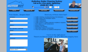 Gutterboyguttercleaningservicessydney.com.au thumbnail