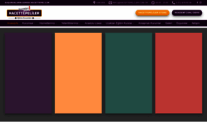 Hacettepeliler.com.tr thumbnail