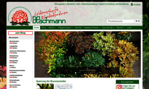 Hachmann.de thumbnail