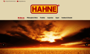 Hahne.de thumbnail