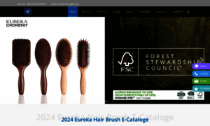 Hairbrushfactory.com thumbnail