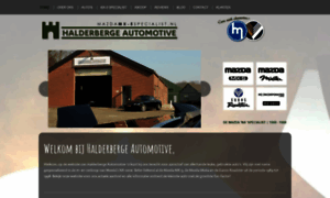 Halderberge-automotive.com thumbnail