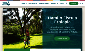 Hamlinfistula.org thumbnail