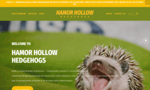 Hamorhollow.com thumbnail