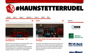 Handball-in-augsburg.de thumbnail