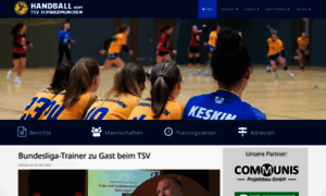 Handball-schwabmuenchen.de thumbnail